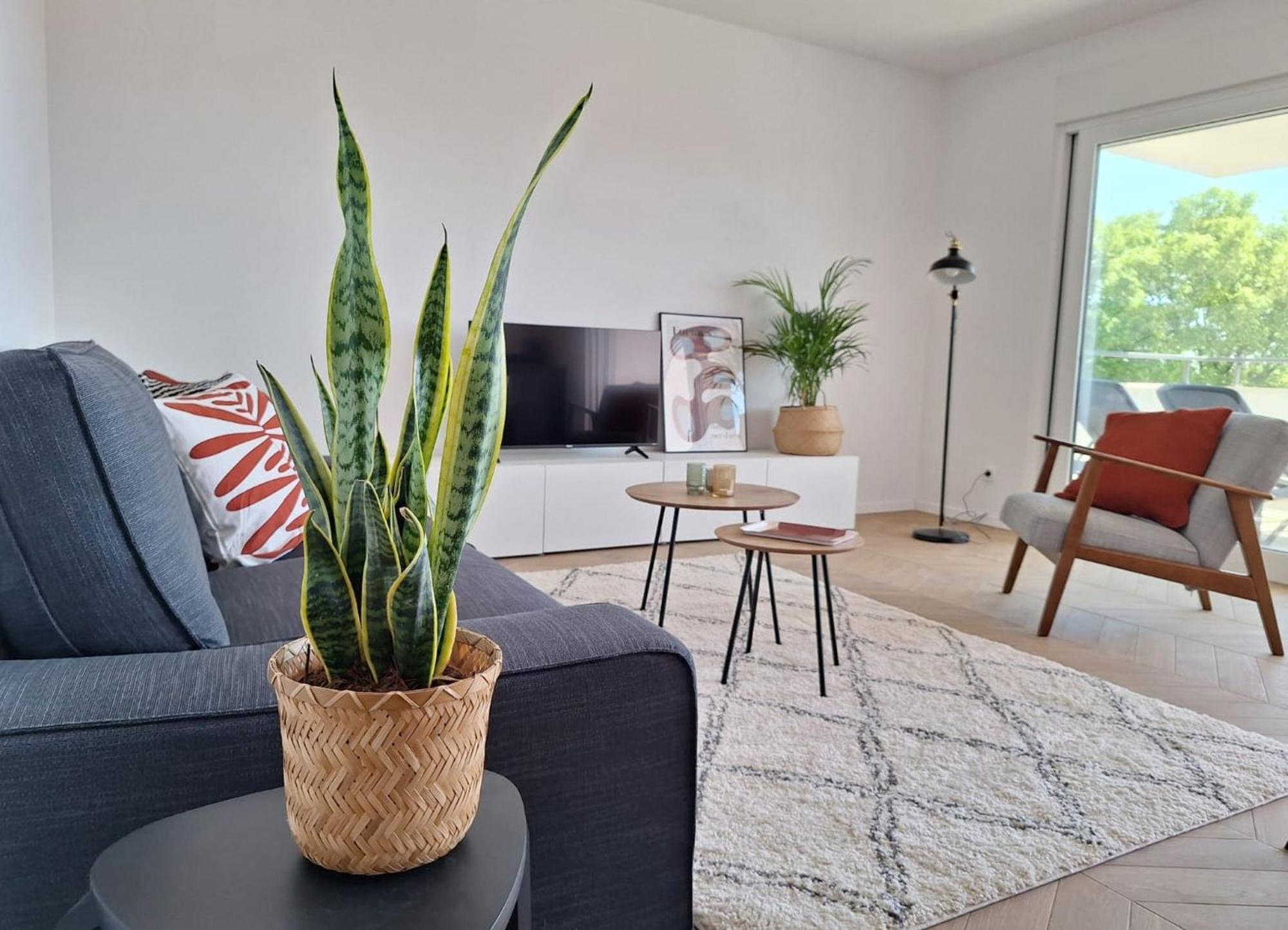 Sea View Apartments Ivana 크르크 외부 사진